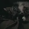 rayconnolly21 - @raylea..conn - TikTok
