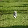 rayconnolly697 - @rayconnolly697 - TikTok
