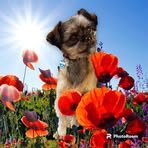 Ray Conrad - Facebook