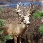 Ray Curtis Corbin - @raycorbin6 - Instagram