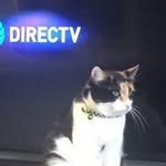 Ray Cornelison - @ray.cornelison.7 - Instagram