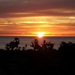 Ray Corona - @corona2971 - Instagram