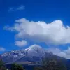 Ray Corona - @ray.corona2 - TikTok