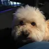 Raymond Covert - @raymond.covert - TikTok