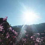 Rayfield Creech - @rayfieldcreech - Instagram