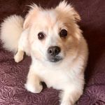 Ray Crowley - @raybc_crowley - Instagram