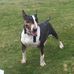 Raymond Cullen - Facebook