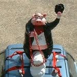 Ray Cyr - @cyrsign - Instagram