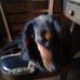 Ray Dameron - Facebook