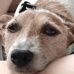 Ray Darby - @stingray2009 - Instagram