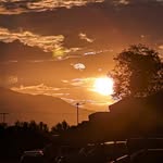 Ray Davidson - @raydavidson15 - Instagram