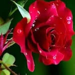 ray Davidson - @momoh.kenneth53 - Instagram