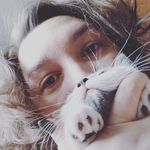 Ray Dawn cattery - @annaborlumbaeva74 - Instagram