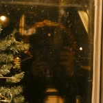 Jasper Desmarais - @jasper_rayne_desmarais - Instagram