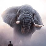 Ray Devlin - @firebreatherraymond - Instagram