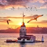 Ray Dick - @raydick77 - Instagram