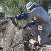 raydiehl48 - @raydiehl48 - TikTok