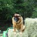 Raymond Diehl - Facebook