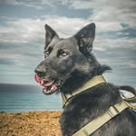 Ray Dodd - @raydodd - Instagram