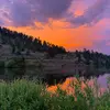 Ray Dodd - @ray.dodd3 - TikTok