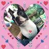 Ray Doerr - @ray.doerr - TikTok
