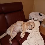 Ray Doherty - @ray.doherty.355 - Instagram
