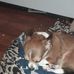 Raymond Dotson - Facebook