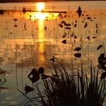 Ray Dowdy - @dowdyray1962 - Instagram