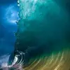 Ray Downey - @ray.downey1 - TikTok