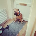 Ray Doyle - @ray.ray.961 - Instagram