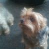 Ray Duffy - @ray.duffy0 - TikTok