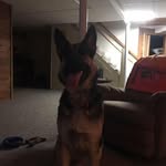 Ray Easterbrook - @easterbrook.ray - Instagram