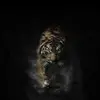 rayseaster - @rayseaster - TikTok