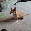 Ray Eberle - @ray.eberle - TikTok