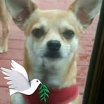Ray Eberle - @eberleray - Instagram