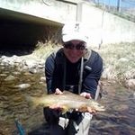 Ray Ellison - @raysellison - Instagram