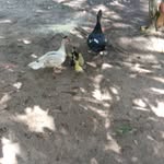 Ray carlos estevez - @raycarlosesteve - Instagram
