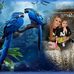 Ray Emerson - Facebook