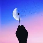Аллах велик 🕋🌙🌞 - @farah__ray - Instagram