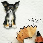 farah ray - @ray.farah - Instagram