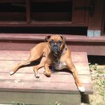 Joshua Ray Farley - @_farley.joshua_ - Instagram