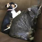 Ray Farrington - Facebook