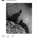 ray fernandes - @ray__fernandes_ - Instagram