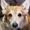 Ray Ferris - @ray.ferris - TikTok