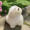 raylostfiles - @raylostfiles - TikTok