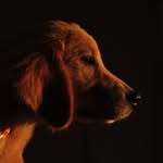 Ray - @ray.finklestein - Instagram