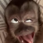 Marc Ray Finney - @kc_k9elite - Instagram