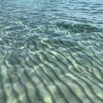 RAY - @ray_____forbes_fsf35 - Instagram