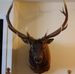 Ray Fraley - Facebook