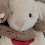 Ray Anthony Francisco - @ray.francisco04 - Instagram